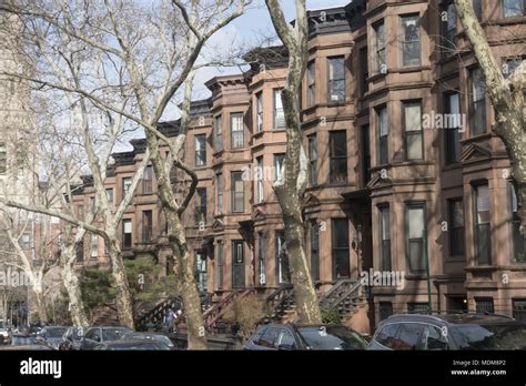 Brownstone Apartment Buildings In Residential Park Slope Brooklyn New
