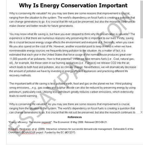 Why Is Energy Conservation Important Essay Example For Free 1005