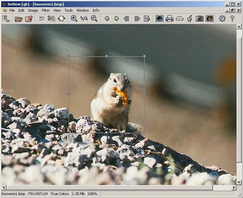 Xnview mp/classic is a free image viewer to easily open and edit your photo file. Xnview Full : XnView - Download : Best photo viewer, image ...