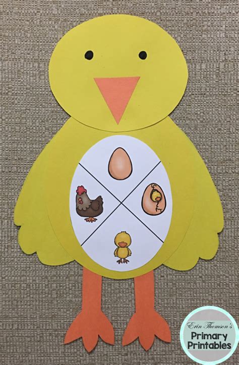 Chicken Life Cycle Craft ~ Use The Template To Make A Chicken Or A