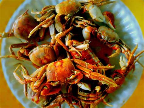 Fried Crablets Fresh Crabs And Shore River Crabs