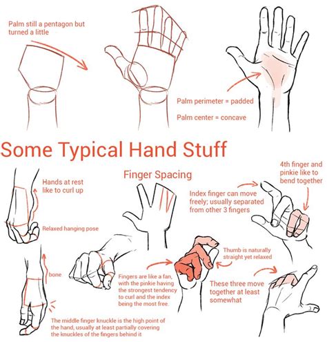 Wannabeanimator Hand Drawing Reference Drawing Tutorial Drawing Tips