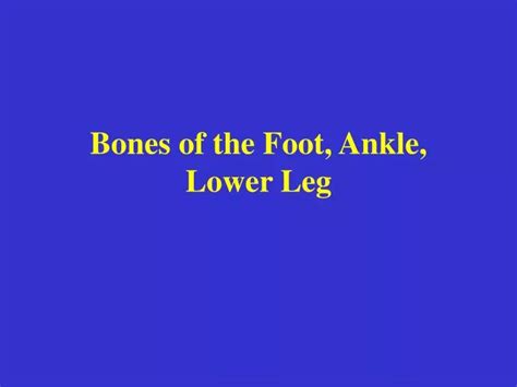 Ppt Bones Of The Foot Ankle Lower Leg Powerpoint Presentation Free