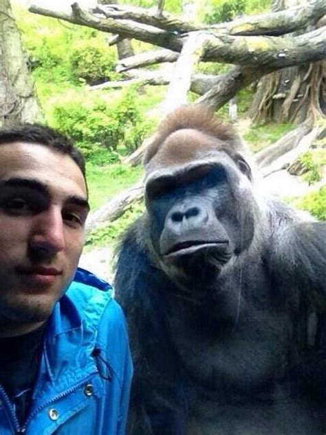 The 24 Funniest Selfies - FunCage