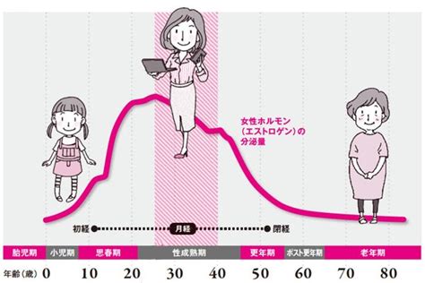 女性ホルモンの基礎知識｜いつがピークでどれくらい出るの？ 妊娠や病気も確認できる“基礎体温”にも注目！ 美的com