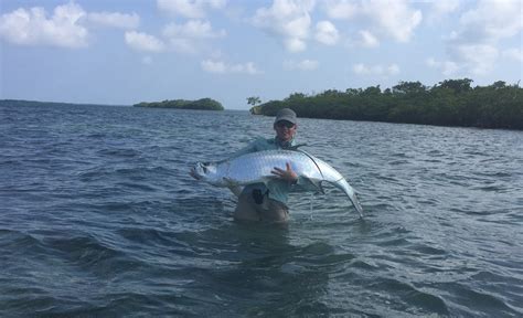 Belize Fly Fishing Turneffe Flats Fly Odyssey Blog