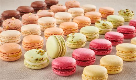 Blog All You Ever Need To Know About Macaron