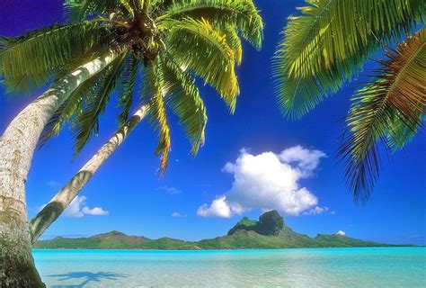 Hawaii Background Images 55 Pictures