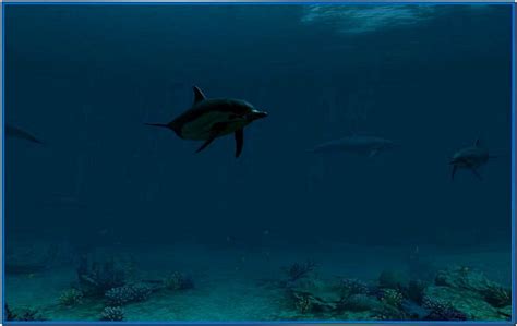 Dolphins 3d Screensaver And Animated Wallpaper Download Free