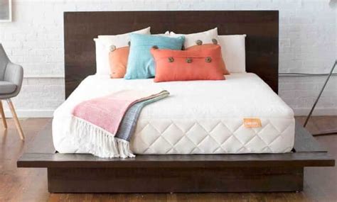 You'll love how this natural blended latex topper helps to add cushion and support to your entire body. Best Organic Mattresses: A Complete 2020 Review + Buyer's ...