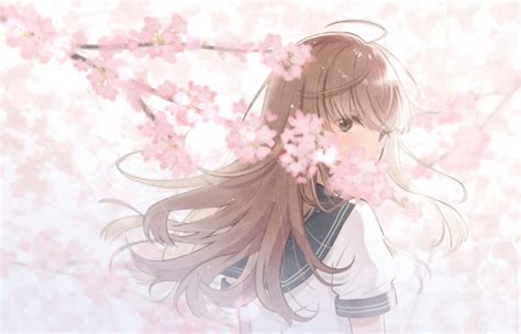 Wallpaper Anime School Girl Back View Brown Hair Sakura