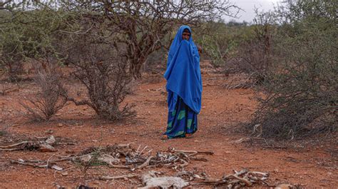 Drought Brings Life Threatening Food Shortages For Refugees In Ethiopia Unhcr