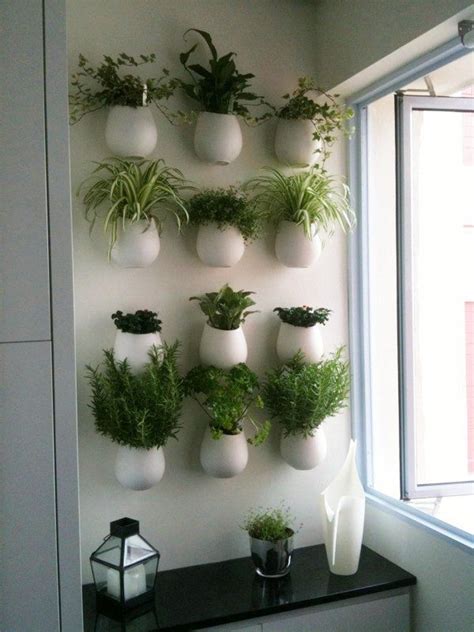 A Wall Of Herb Pots For The Kitchen Mur Vegetal Jardin Vertical