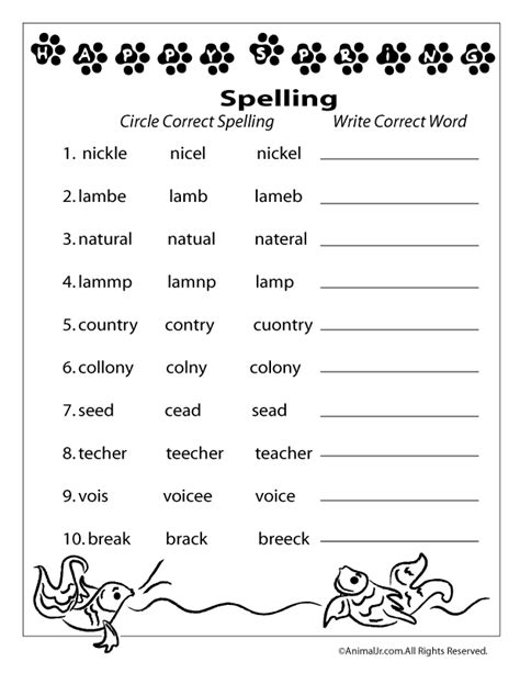 14 Printable Spelling Practice Worksheets