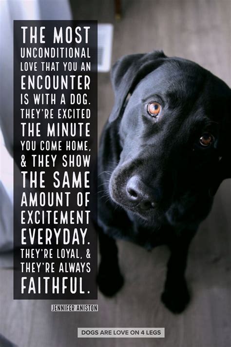 Dog Quote - The most unconditional love that you can encounter is with