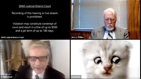 Judge roy ferguson tried to instruct a morose, possibly ashamed cat how to change its zoom filter. 'I am not a cat,' lawyer trapped by cat filter tells the ...