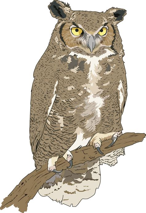 Eagle Owl Clipart Clipground