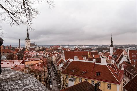Kohtuotsa Viewing Platform - A Complete Guide To Tallinn's #1 Viewpoint