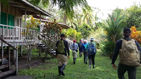 Wildlife Expedition In Costa Rica Volunteer Expedition Gvi