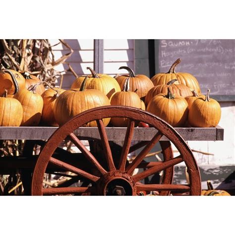 Church Fall Festival Games Ideas for Kids | Synonym