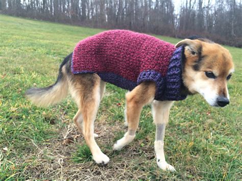 Ravelry The Poet Dog Sweater Pattern By Lion Brand Yarn