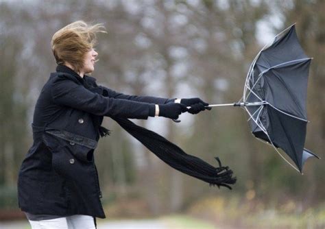 20 Times Wind Messing With People In Most Hilarious Way Funny