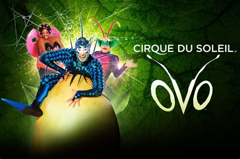 Cirque du Soleil Dubai: OVO is coming to the city