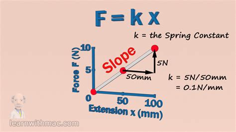 The Newton Spring Balance And Hookes Law