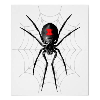 Viúva negra aranha grátis ícone. O Poeta da Madrugada: Viuva - Negra Aranha Mortal