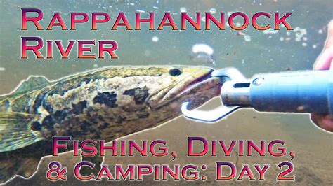 Snakehead Smallmouth Bass And More Fishing Diving And Camping On