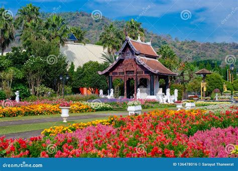 Flower Garden Royal Park Ratchaphruek Chiang Mai Thailand Stock Photo