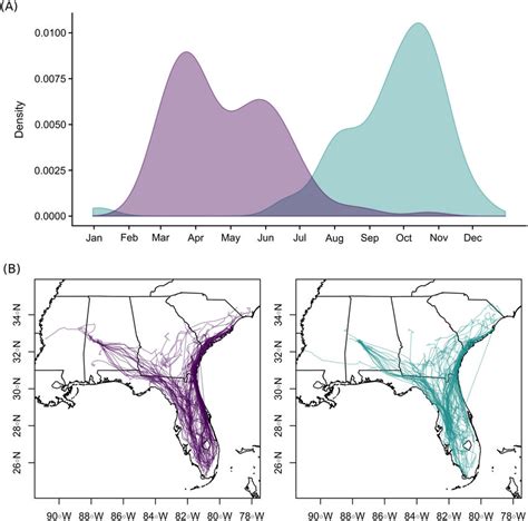 Wood Stork Migration Routes And Timing A Frequency Distribution Of