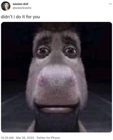 I Didnt Do It For You Staring Donkey Know Your Meme