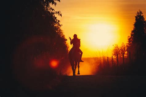 Horse Riding In Countryside During Bright Sunset · Free Stock Photo