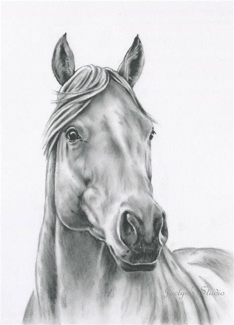Horse Art Originele Houtskool Paard Tekening 8 X10 Horse Sketch