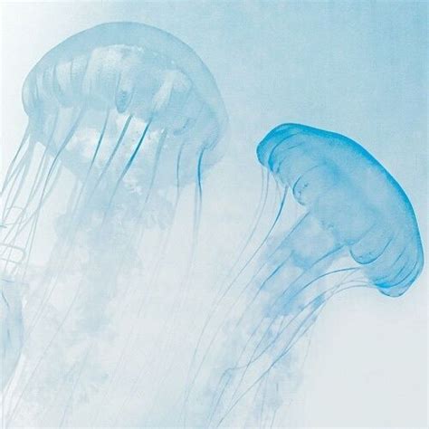 Image De Blue Jellyfish And Pastel Louxse Blue Aesthetic Pastel