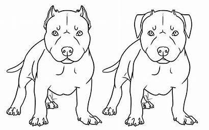 Pitbull Drawing Puppy Tattoo Present Coloring Dog