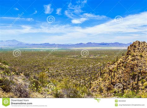 Beautiful Desert Landscape With Cacti Stock Photography
