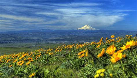 Oregon Guía Turismo Estados Unidos