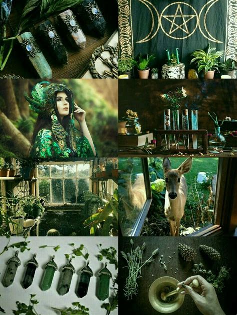 Pin By Annie On Aesthetic Green Witch Aesthetic Witch Aesthetic