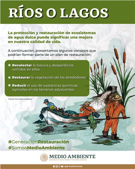 Protección y restauración a ríos o lagos Infografía CONAGUA Agua org mx