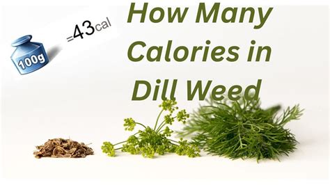 how many calories in dill weed nutrition facts of dill weed youtube