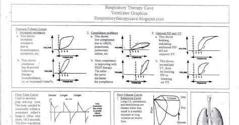 Respiratory Therapy Cave Ventilator Graphics Cheat Sheet