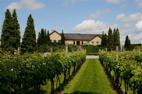 Wölffer Estate Vineyard In Sagaponack Unveils Its Newest Resplendent