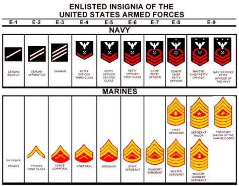 Navy Ranks Navy Ranks Navy Rank Insignia Us Navy Enlisted Ranks