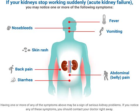 Chronic Kidney Disease Ckd American Kidney Fund Akf