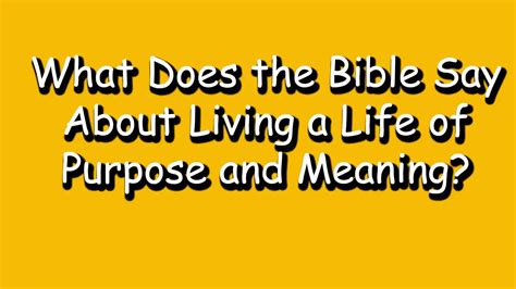 What Does The Bible Say About Living A Life Of Purpose And Meaning