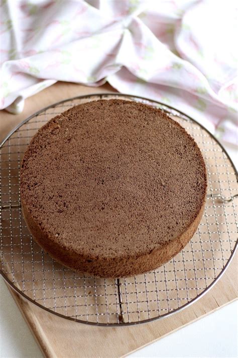 Unglaublich leckerer saftiger blitzschneller bio orangen kuchen. Sugarprincess: Schokoladen-Biskuit Grundrezept, super hoch ...