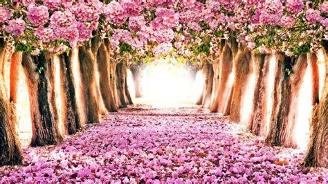 High Res Spring Desktop Wallpapers - Wallpaper Cave
