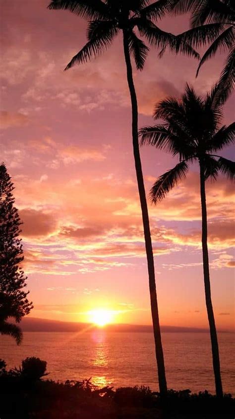 Aloha Friday Photo Lahaina Sunset Scene Go Visit Hawaii